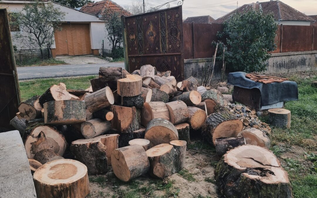 Lemne de Foc Pentru Familii in nevoie