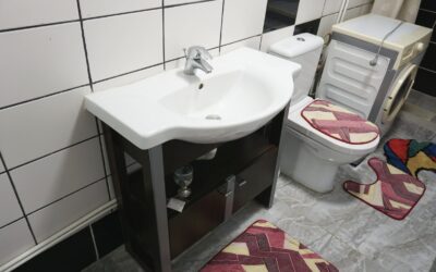 Toaletă în casă, o necesitate pentru un trai decent