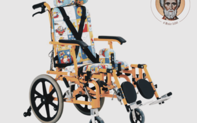 Sprijin pentru persoanele cu handicap